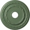 Ekena Millwork Dublin Ceiling Medallion (Canopies up to 5 1/8"), 17 7/8"OD x 3 5/8"ID x 1 1/4"P, Athenian Green CM17DUAGF - alternate 1